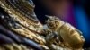 Nepal Pursues Sacred Items Smuggled Abroad 