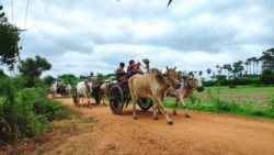 စစ်ကိုင်းတိုင်း ပုလဲမြို့မှာ တိုက်ပွဲထပ်ဖြစ်
