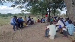 Abakubandla leZanu PF Sebekhankasela Ukhetho Lwama Primaries