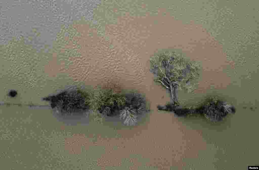 A fallen tree lies in floodwater from the River Severn after strong winds from Storm Jocelyn, in Welshpool, Britain.