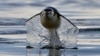 16x9 Image