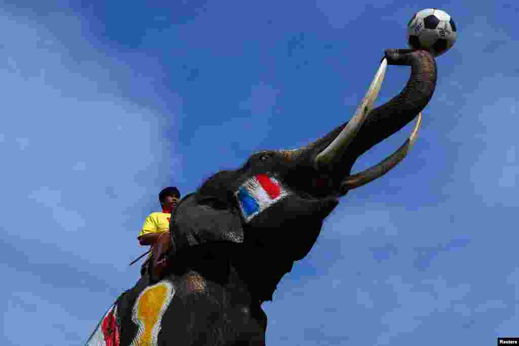 An elephant painted with France's national flags plays soccer during a soccer match with students in Ayutthaya province, Thailand.
