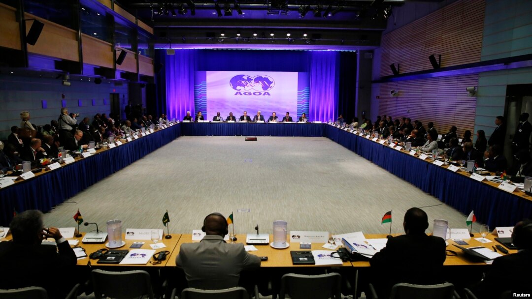 Representatives from various African nations gather at the opening session at the AGOA Forum during the US-Africa Leaders Summit in Washington August 4, 2014. REUTERS/Gary Cameron (UNITED STATES - Tags: POLITICS BUSINESS) - RTR416GJ