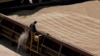 Romanian Port Struggles to Handle Flow of Ukrainian Grain 