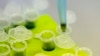 FILE - Laboratory technicians develop a technology to mass produce Ebola vaccine.