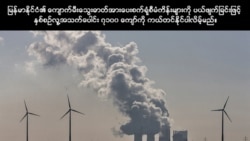 အပျော့စားသက်နုကျောက်မီးသွေး