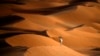 Climate Change Could Make Parts of Middle East Uninhabitable 