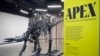 $45M stegosaurus on display in NY. Here's what scientists hope to learn about it 