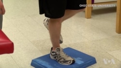 Brain May Interfere With Recovery From Injury, Scientists Say