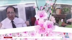 ویژه برنامه: نوروز در شهرفرنگ