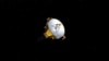 Artist’s impression of NASA’s New Horizons spacecraft, currently en route to Pluto. Operators at the Johns Hopkins University Applied Physics Laboratory are preparing to “wake” the spacecraft from electronic hibernation on Dec. 6, when the probe will be m