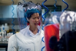 This file photo taken on February 23, 2017 shows Chinese virologist Shi Zhengli inside the P4 laboratory in Wuhan, capital of China's Hubei province.