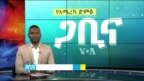 ጋቢና ቪኦኤ