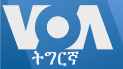 ፈነወ ትግርኛ ሶሉስ