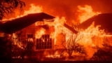 A home burns during the Eaton fire in the Altadena area of Los Angeles County, California on January 8, 2025. (Photo by JOSH EDELSON / AFP)