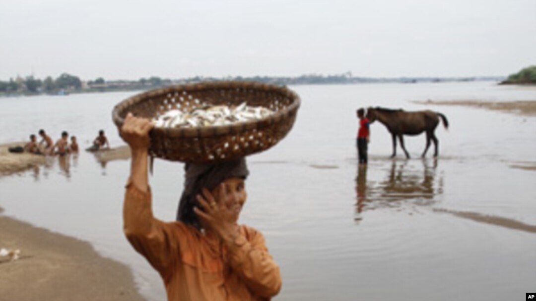 Chea Sophorn, 39, carries a fish basket at the Mekong River bank in Kandal province, Cambodia, April 19, 2011.