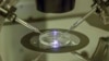 Three-Person Embryo ‘Ethical,' Report Says