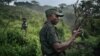 SML: Ba nzoko ya parc national ya Virunga bazali kokota na mboka Mahimbi mpe kobebisa bilona na territoire ya Beni