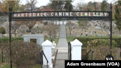 The pet cemetery was established in 1896 when veterinarian Samuel Johnson allowed a client to bury her dog in his apple orchard.