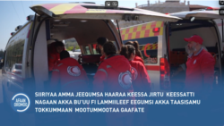 Jeequmsi Haaraan Siiriyaa Keessatti Geggeessamaa Jiru  Akka Dhaabbatu Tokkummaan Mootummootaa Gaafatee