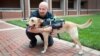 Researchers at N.C. State University have developed a high-tech harness that is equipped with a suite of technologies to enhance communication between dogs and humans. (Credit: North Carolina State University)