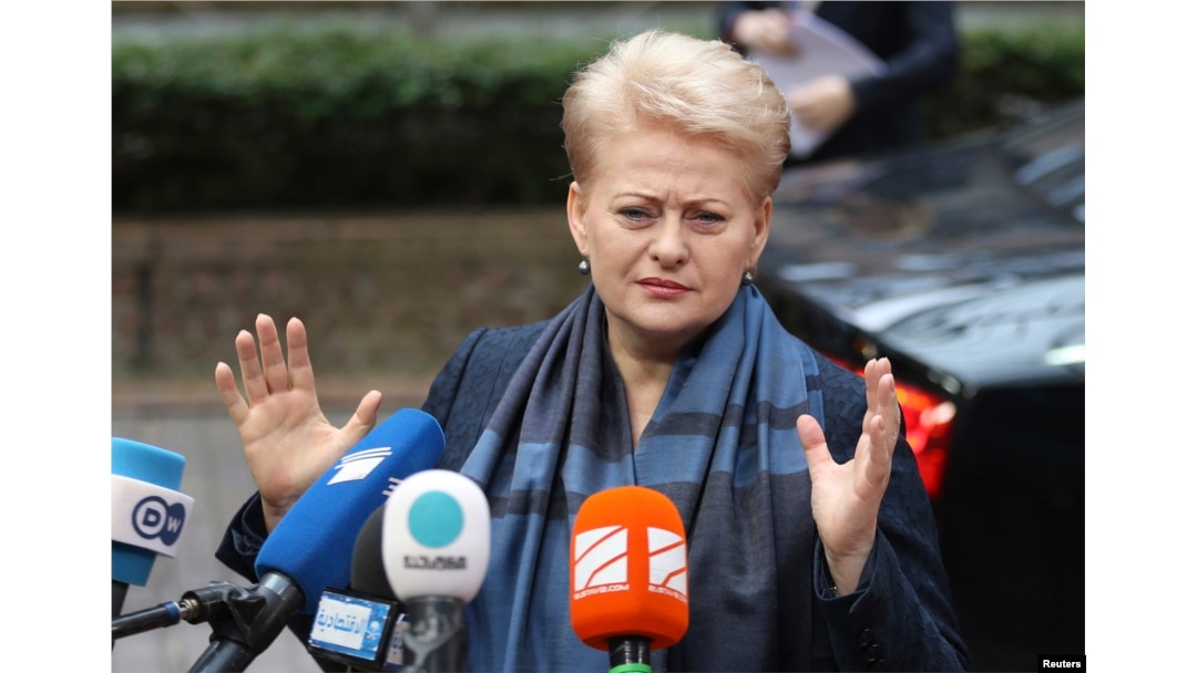 FILE - Lithuania's President Dalia Grybauskaite talks to the media in Brussels June 27, 2014.