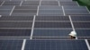 Solarada Looga Faa'ideysan karo Tamarta Cadceedda Laga Dhaliyo