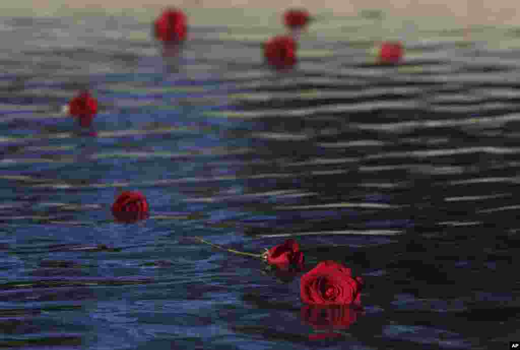 Red roses float in the reflecting pool at the Rodin Museum, in Philadelphia, Pennsylvania, during a ceremony marking the day of the artist's death.
