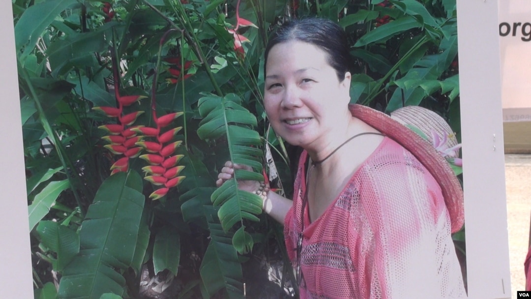 တရုတ်အစိုးရက ပြန်လွတ်ပေးလိုက်သည့် Sandy Phan-Gillis. 