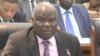 Gurukota remhando dzemoto, VaJuly Moyo. (Columbus Mavhunga/VOA)