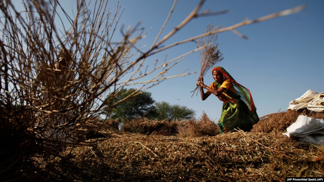 A recent study from Oxfam International says eight men control more wealth than half the world's population. The group says inequality is growing, causes hardship for the world's poor and could cause political problems. 