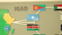  Karoorri Biyyoota Gaanfa Afrikaa Haala Jijjiirama Qilleensatiif Dursee Qopheessu Baasame