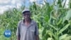 Kulabalimi Abathi Balakho Ukuthola Isivuno Esithe Xaxa Lonyaka
