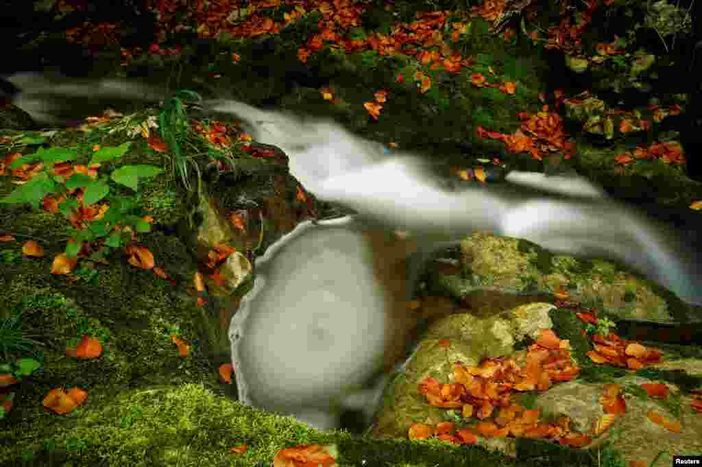 Le Veyron stream is pictured on an autumn morning at La Tine de Conflens in La Sarraz, Switzerland, Oct. 4, 2017.