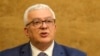 Predsjednik Skupštine Crne Gore, Andrija Mandić (Foto: AP/Risto Bozovic)