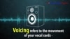 How to Pronounce: What is Voicing?
