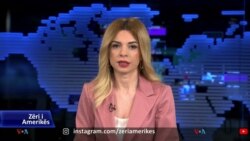 Ditari- Studimi, prirje e lartë e qytetarëve për t'u larguar nga Shqipëria